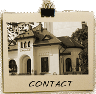 Contact Adina Nanu